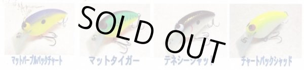 画像3: ワイドル　ＭＯＲＥ（モア） (3)