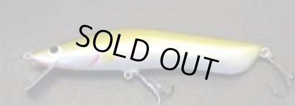 画像5: グッピー中条スペシャル (5)