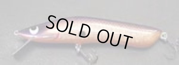 画像2: グッピー中条スペシャル (2)