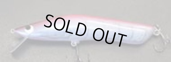 画像4: グッピー中条スペシャル (4)