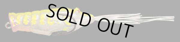 画像4: ＣＨＩＢＩ　ＥＢＩＧＡＥＲＵ　チビエビガエル (4)