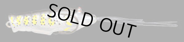 画像3: ＣＨＩＢＩ　ＥＢＩＧＡＥＲＵ　チビエビガエル (3)