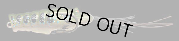 画像2: ＣＨＩＢＩ　ＥＢＩＧＡＥＲＵ　チビエビガエル (2)