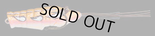 画像5: ＣＨＩＢＩ　ＥＢＩＧＡＥＲＵ　チビエビガエル (5)