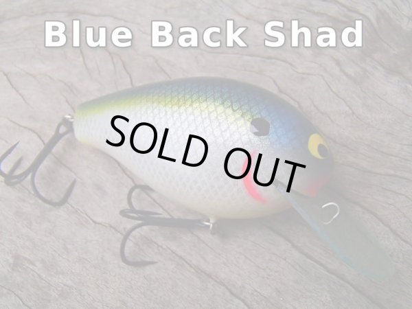 画像3: Sｒ.ＫＮＩＧＨＴ (3)