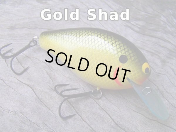 画像4: Sｒ.ＫＮＩＧＨＴ (4)