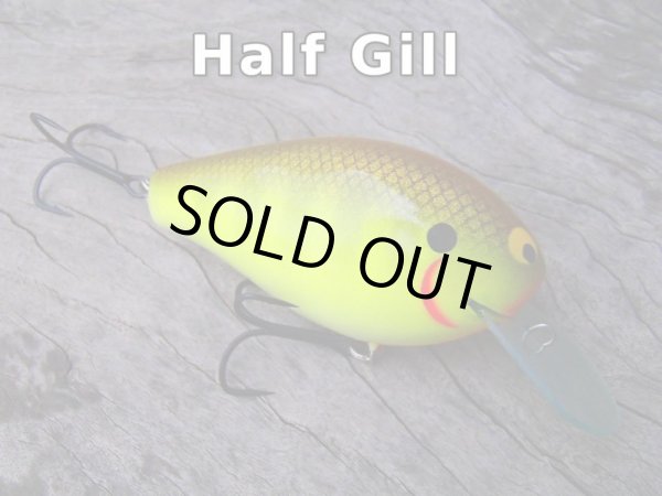 画像2: Sｔ.ＫＮＩＧＨＴ (2)