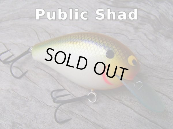 画像4: Sｔ.ＫＮＩＧＨＴ (4)