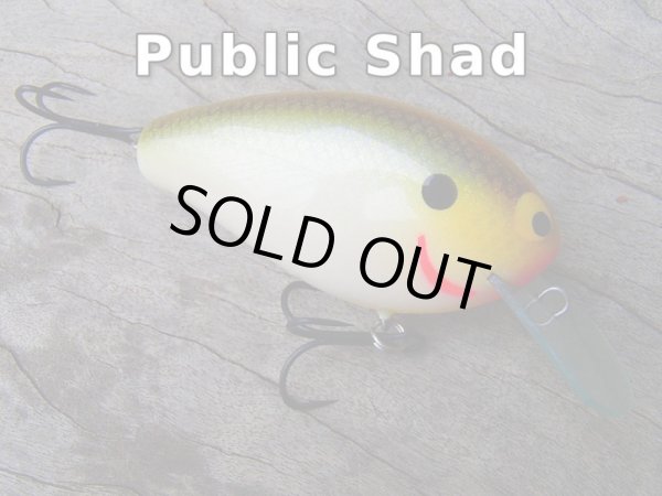 画像7: Sｒ.ＫＮＩＧＨＴ (7)