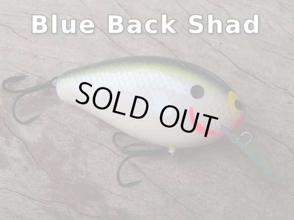 画像7: Sｔ.ＫＮＩＧＨＴ (7)