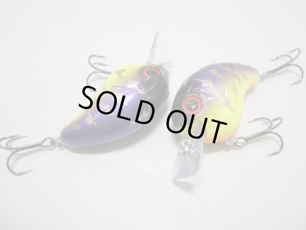 画像5: ＦＵＲＹ（フューリー） (5)