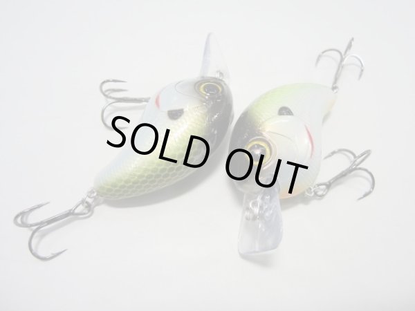 画像2: ＦＵＲＹ（フューリー） (2)