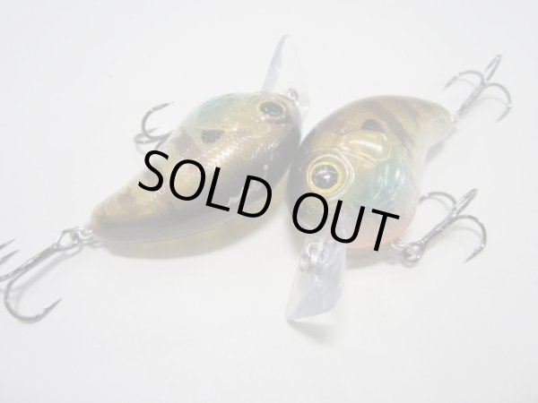 画像10: ＦＵＲＹ（フューリー） (10)