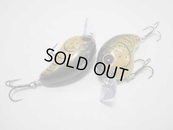 画像7: ＦＵＲＹ（フューリー） (7)