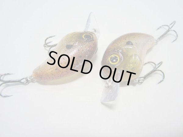 画像8: ＦＵＲＹ（フューリー） (8)