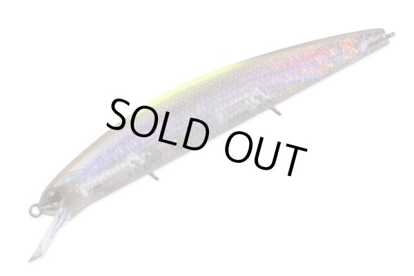 画像7: ＶＡＲＵＮＡ　ＳＰＥＣ2ーＳＦ　バルナ　 (7)