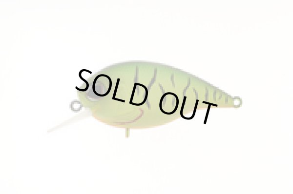 画像5: DEX CR55SR (デックス クランクベイト) (5)