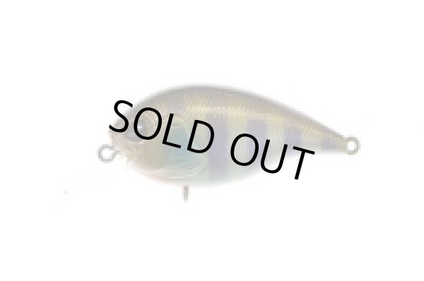 画像8: DEX CR55SR (デックス クランクベイト) (8)