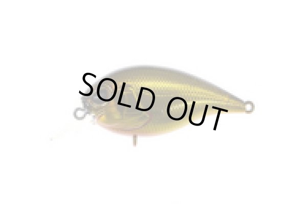 画像9: DEX CR55SR (デックス クランクベイト) (9)