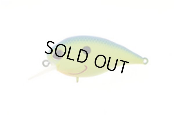 画像6: DEX CR55SR (デックス クランクベイト) (6)