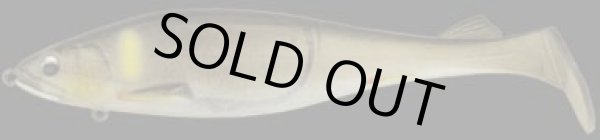 画像4: ステルススイマー (4)