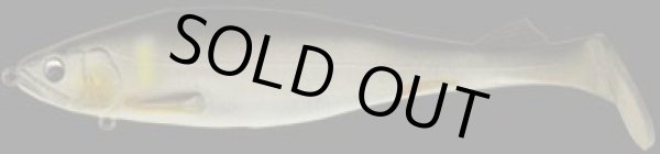 画像2: ステルススイマー (2)