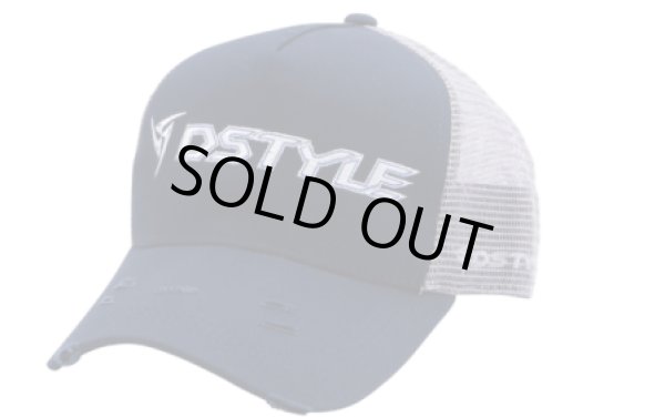 画像2: DSTYLE　スタンダードメッシュキャップ (2)