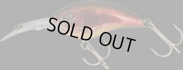 画像2: ランボルト　120Ｖ (2)