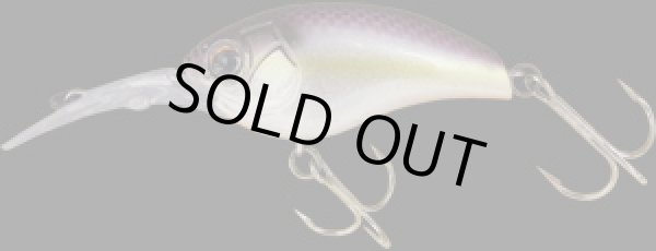 画像4: ランボルト　120Ｖ (4)