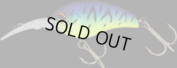 画像6: ランボルト　120Ｖ (6)