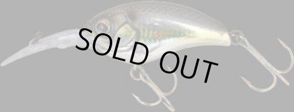 画像3: ランボルト　120Ｖ (3)