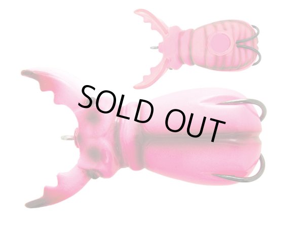 画像4: スーペルナート　ビートルBABY (4)