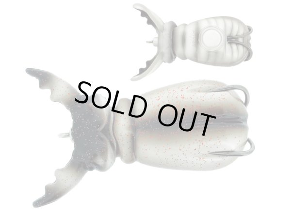 画像3: スーペルナート　ビートルBABY (3)