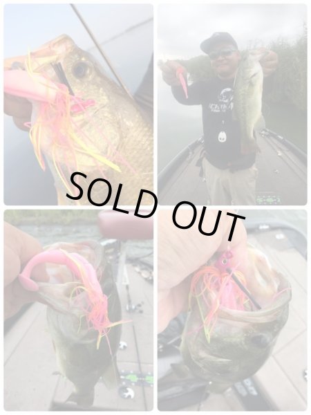 画像2: オリジナルカラー　MATSURABA　マツラバ（　トロピアル） (2)