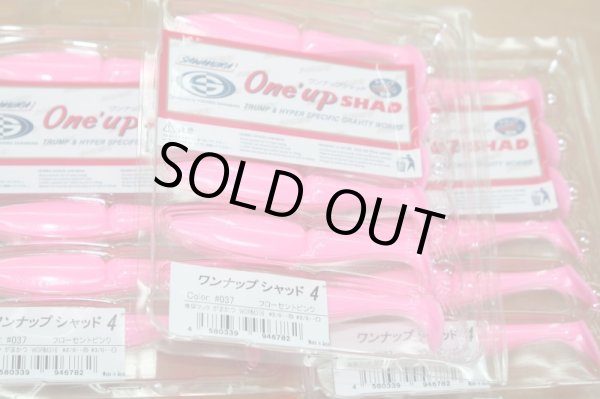 画像5: オリジナルカラー　MATSURABA　マツラバ（　トロピアル） (5)