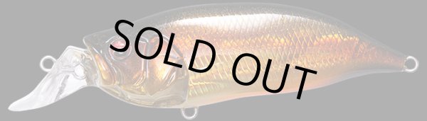 画像7: I x I SHAD TYPE-3 (7)