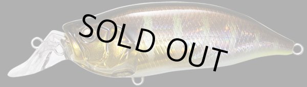 画像5: I x I SHAD TYPE-3 (5)