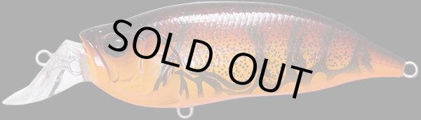 画像20: I x I SHAD TYPE-3 (20)