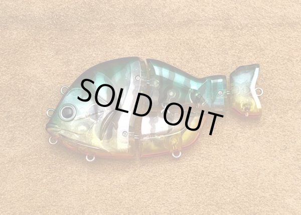 画像7: 　CASTELLANON（カステラーノン) (7)