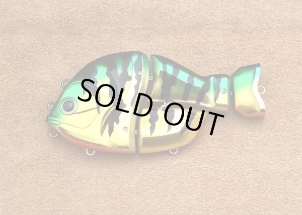 画像6: 　CASTELLANON（カステラーノン) (6)