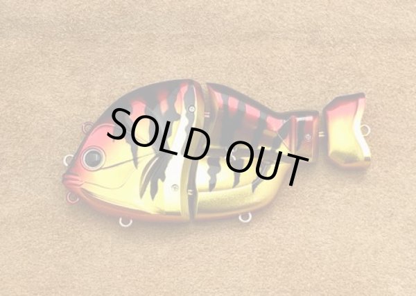 画像8: 　CASTELLANON（カステラーノン) (8)