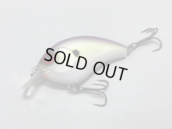 画像6: CHEATOR チーター (6)