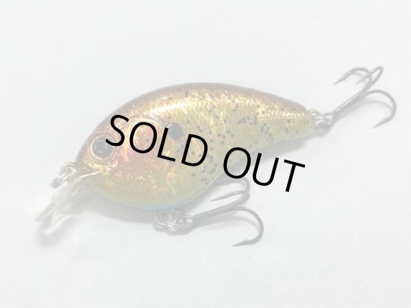 画像5: CHEATOR チーター (5)