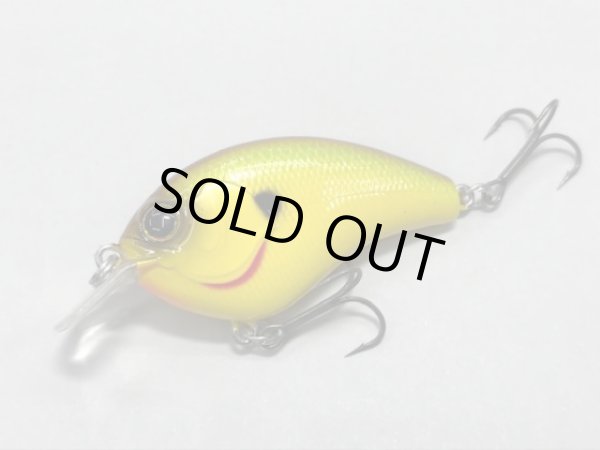 画像2: CHEATOR チーター (2)