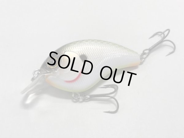 画像4: CHEATOR チーター (4)