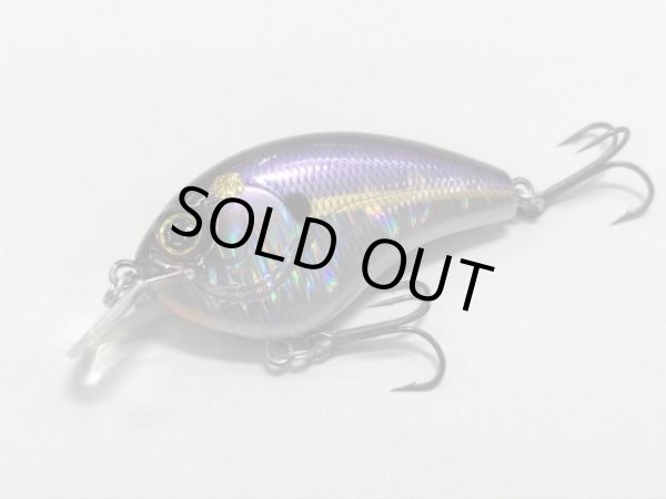 画像7: CHEATOR チーター (7)