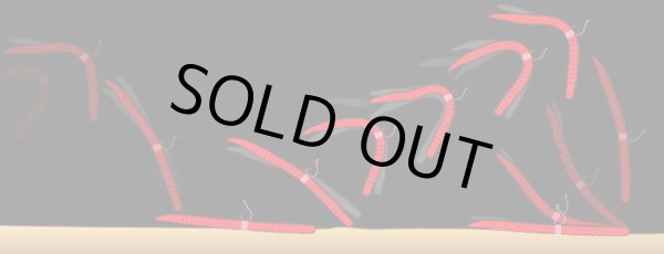 画像4: キンクーエアー (4)