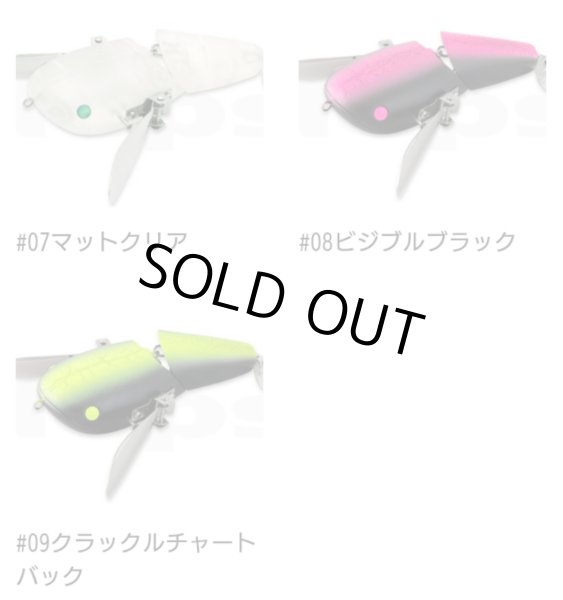 画像4: NZ CRAWLER (4)