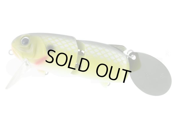 画像10: MT.WAKE　（MTウェイク） (10)