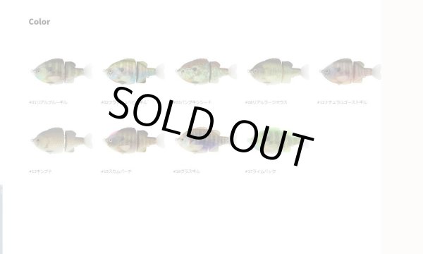 画像3: TINY BULLSHOOTER (タイニーブルシューター (3)